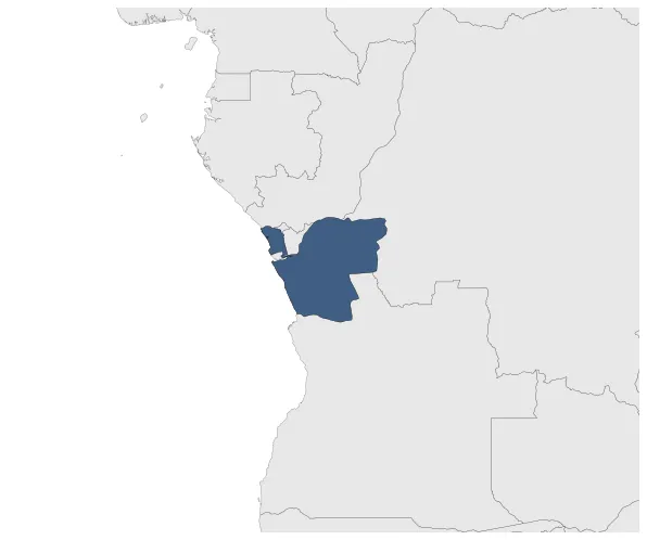 Maximum Extent Map