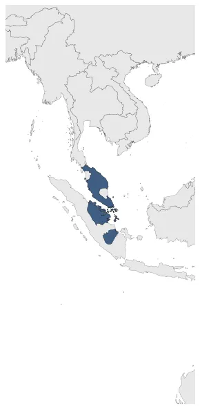Maximum Extent Map