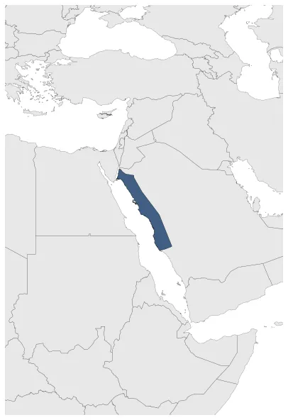 Article 1