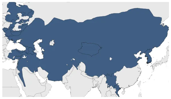 Maximum Extent