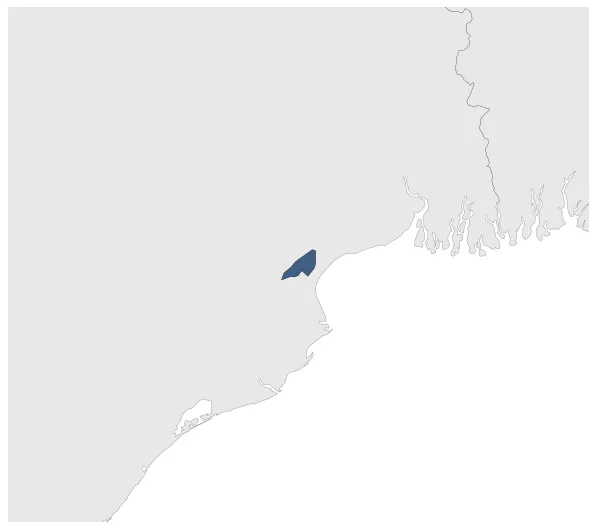 Article 1