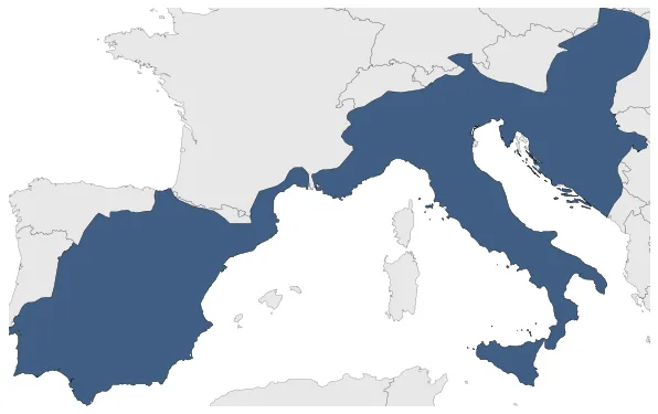 Maximum Extent