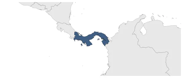 Maximum Extent Map