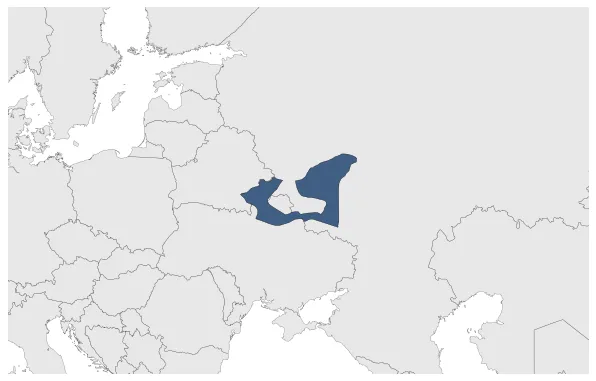 Maximum Extent