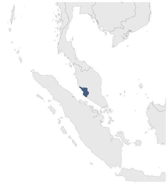 Maximum Extent Map