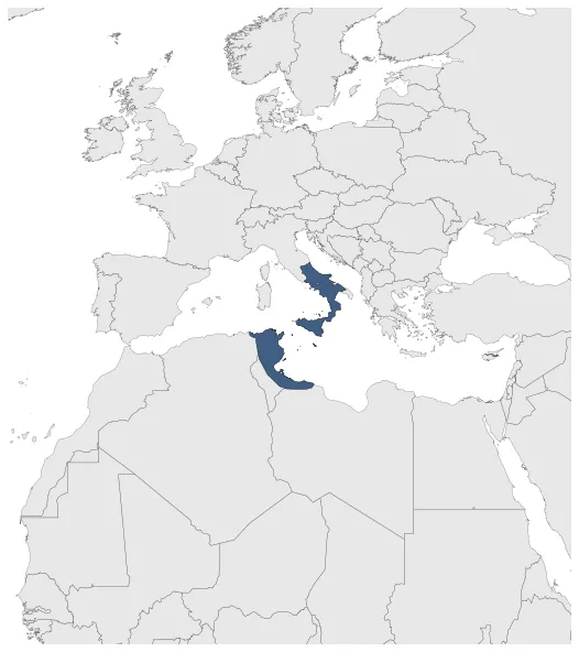 Maximum Extent