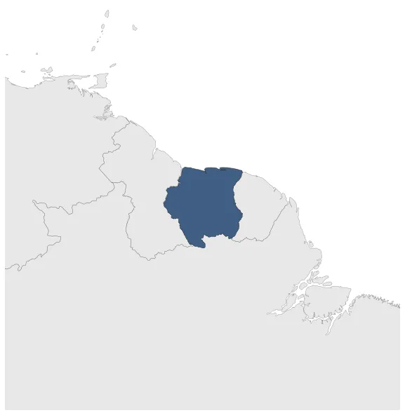 Maximum Extent Map