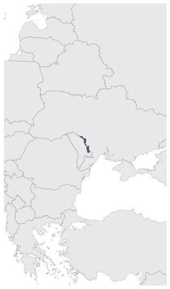 Maximum Extent