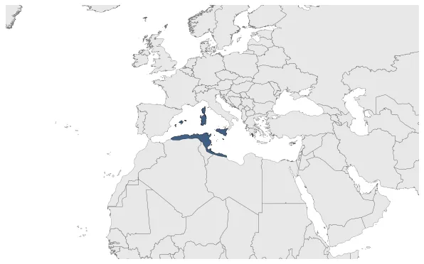 Maximum Extent Map