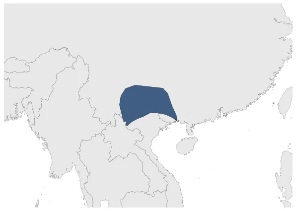 Maximum Extent